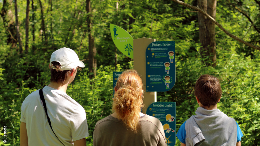 Jeu biodiversité