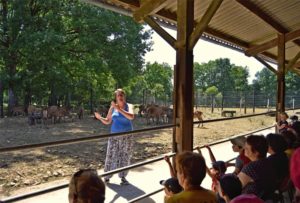 Visite guidée de l'élevage de biches et cerfs
